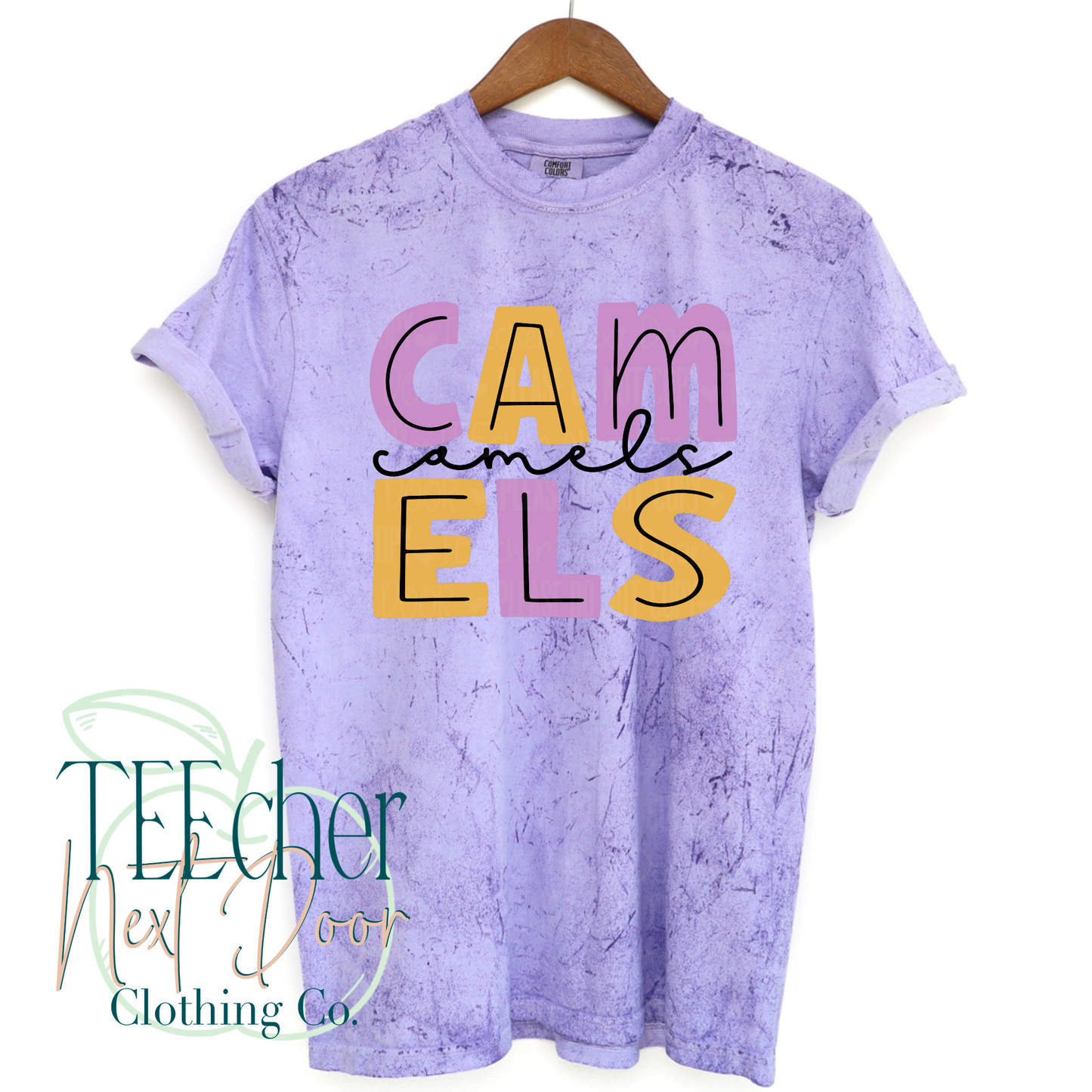 Colorful Modern Camels