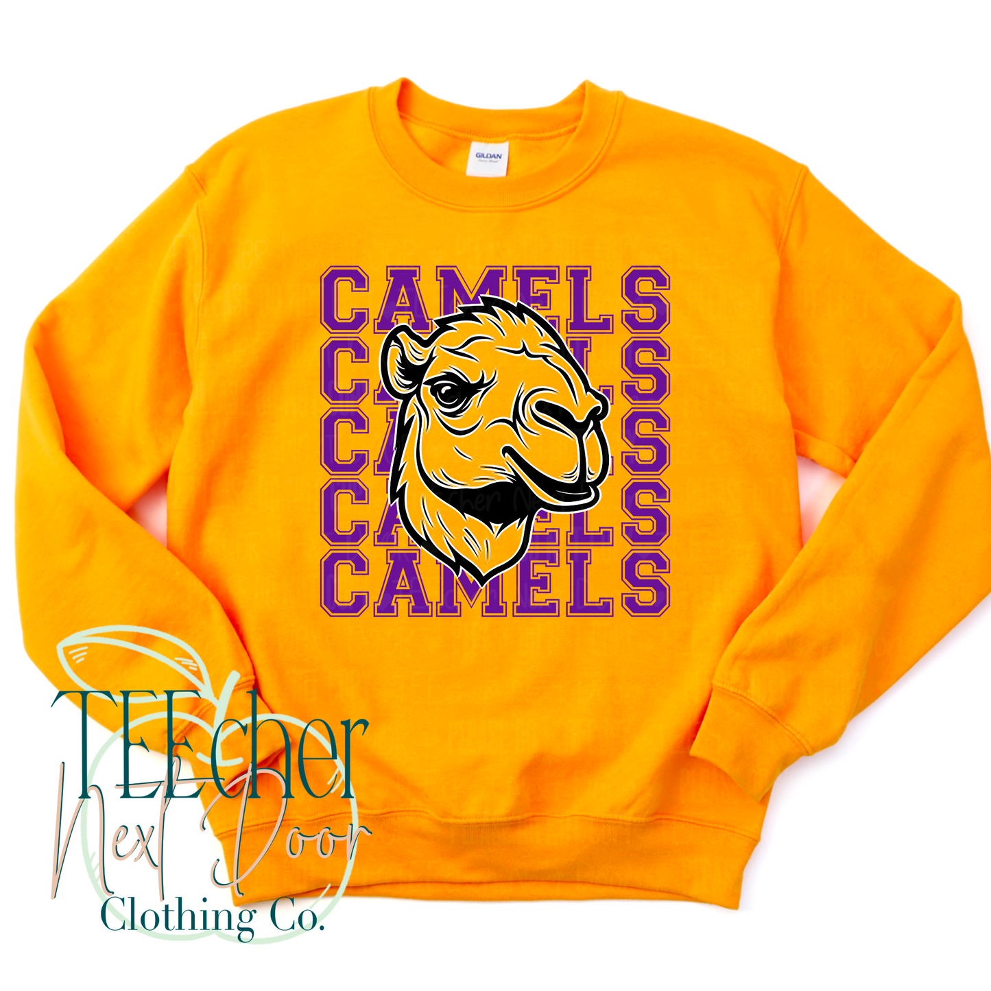 Camels Breakthrough