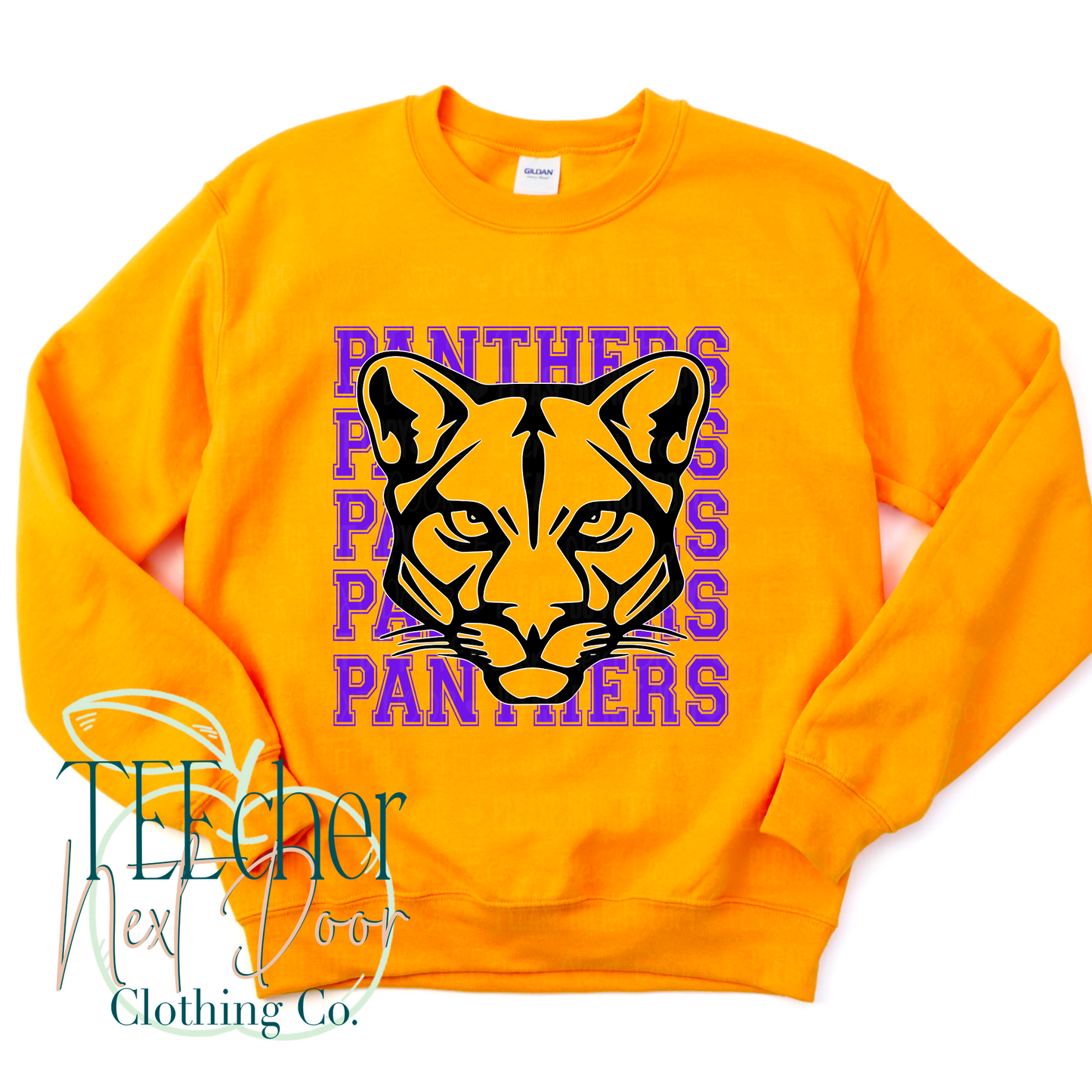 North Pointe Panthers Breakthrough