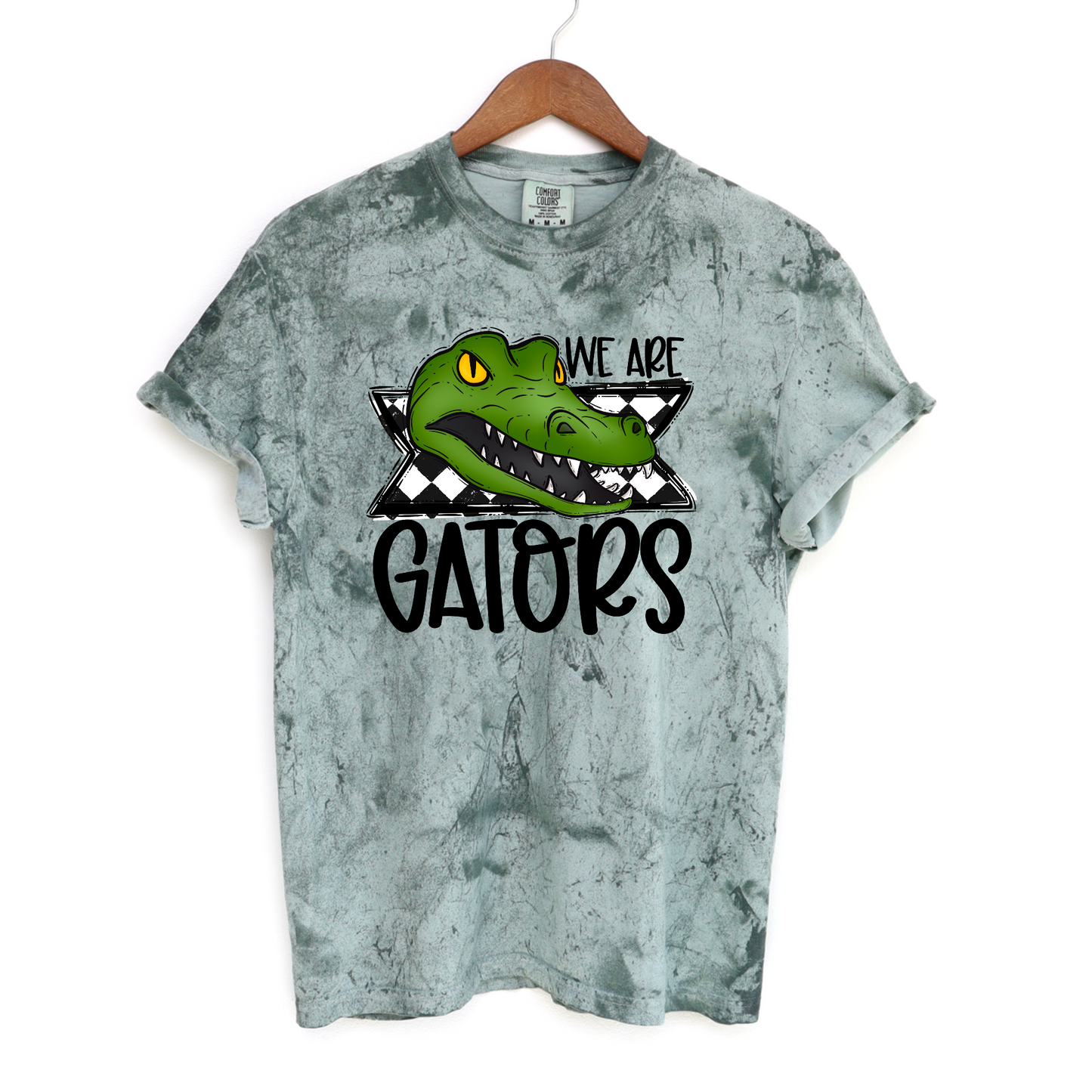 Retro We are Gators