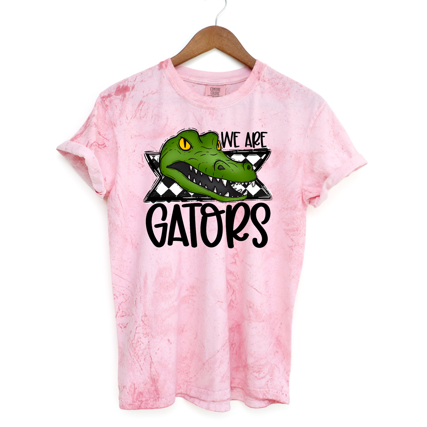 Retro We are Gators