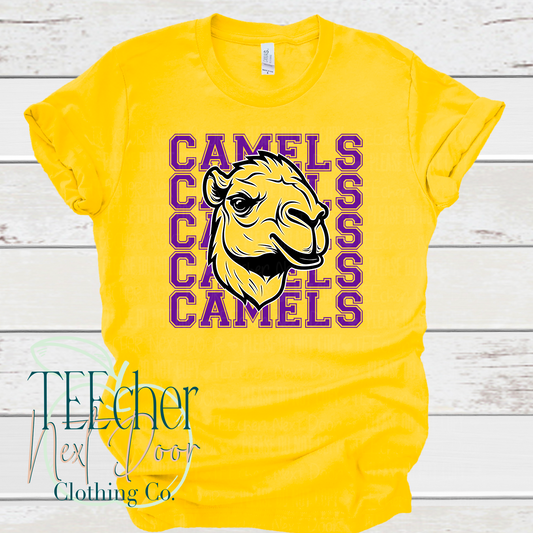 Camels Breakthrough