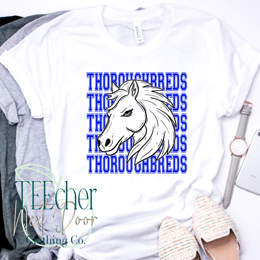 Thoroughbred Breakthrough