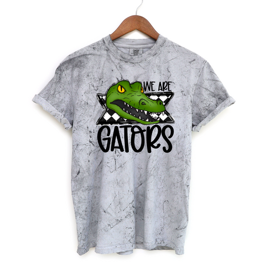 Retro We are Gators