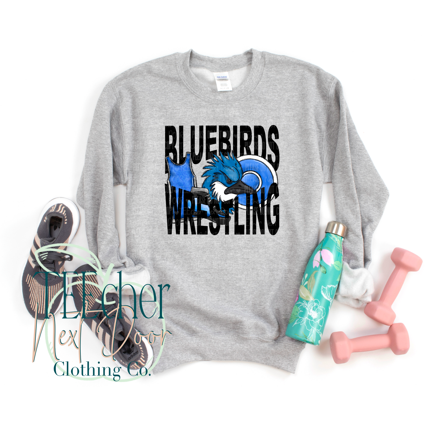 Bluebirds Wrestling Geometric